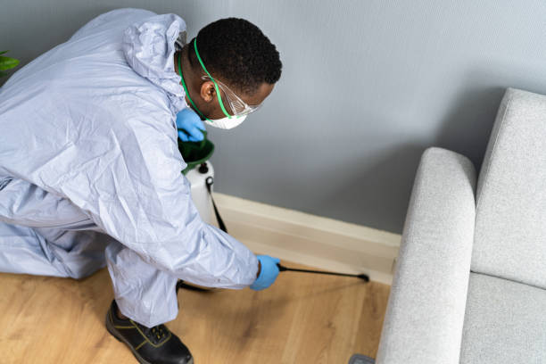 Emergency Pest Control Services in St Jaco, IL